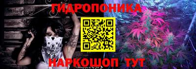 индика Тула