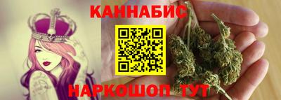 индика Тула